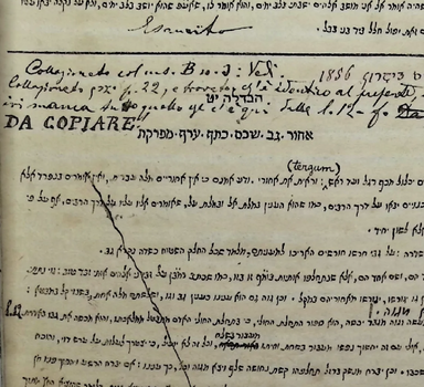 Manuscript